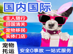 乌鲁木齐地窝堡机场物流国际宠物托运 【国